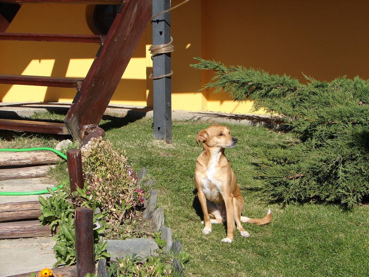 Cabanas Marias Del Sur Lejlighedshotel El Calafate Eksteriør billede